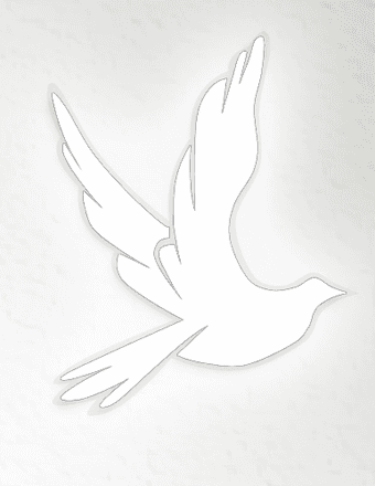 Brian Arnold Obituary